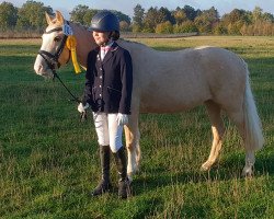 dressage horse Tinkerbell (Welsh mountain pony (SEK.A), 2008, from The Braes My Mobility)