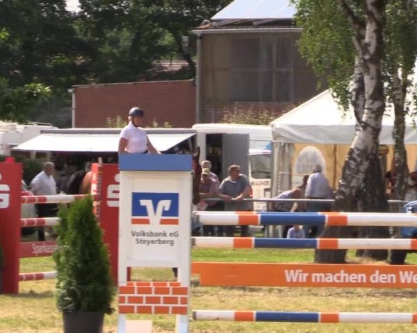 Pfingst-Reitturnier Kreuzkrug-Raddestorf 2014