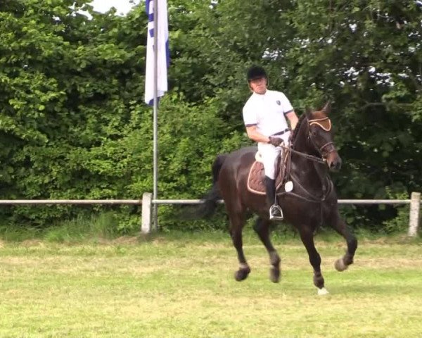 Pfingst-Reitturnier Kreuzkrug-Raddestorf 2014