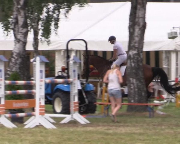 Pfingst-Reitturnier Kreuzkrug-Raddestorf 2014