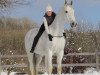 dressage horse Charismo 4 (Bavarian, 2003, from Calido I)