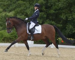 dressage horse Trinity (Deutsches Reitpony, 2005, from Tizian)