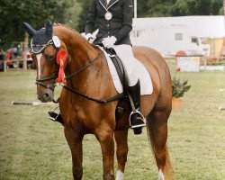 dressage horse Walea T. (Hanoverian, 2004, from Worldly I)