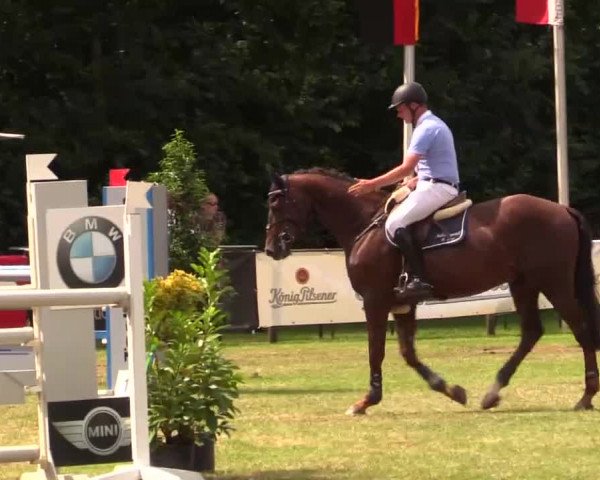 Pfingst - Dressur und Springturnier Borken 2014