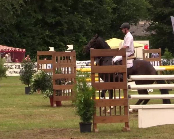 Pfingst - Dressur und Springturnier Borken 2014