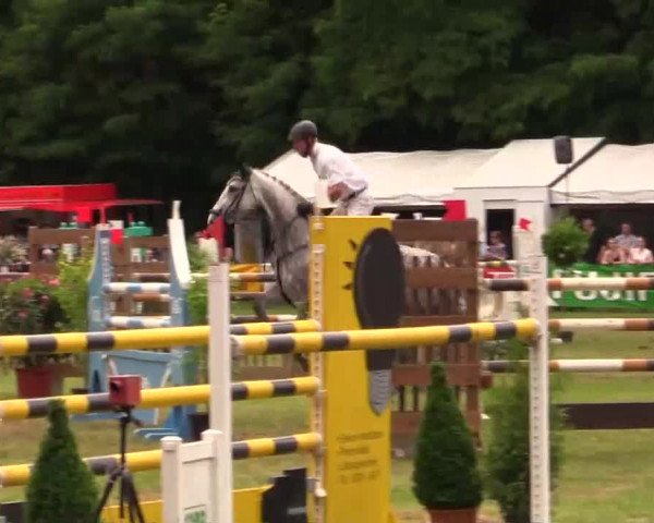Pfingst - Dressur und Springturnier Borken 2014