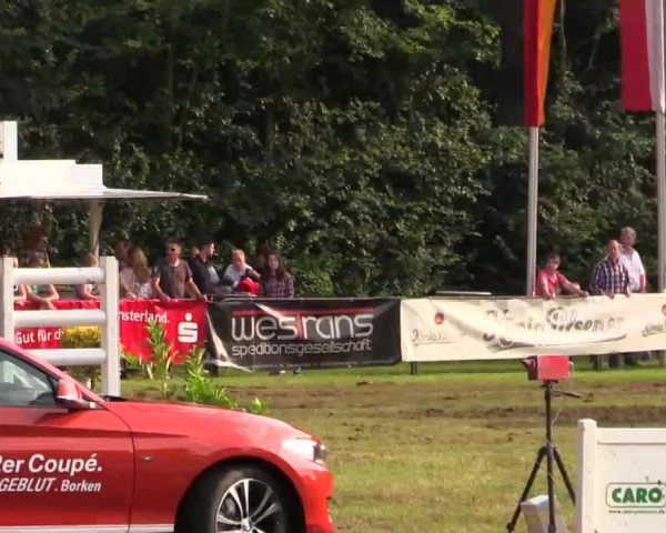 Pfingst - Dressur und Springturnier Borken 2014