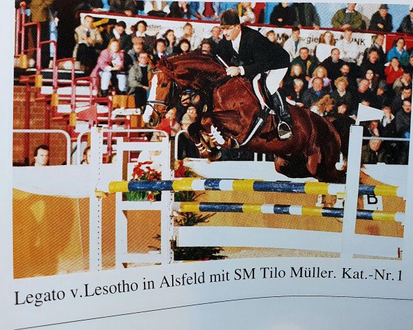 stallion Legato (unknown, 1987, from Lesoto)