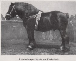 stallion Martin von Kookerhof RS 870 (Rhenish-German Cold-Blood, 1920, from Martin RS 226)