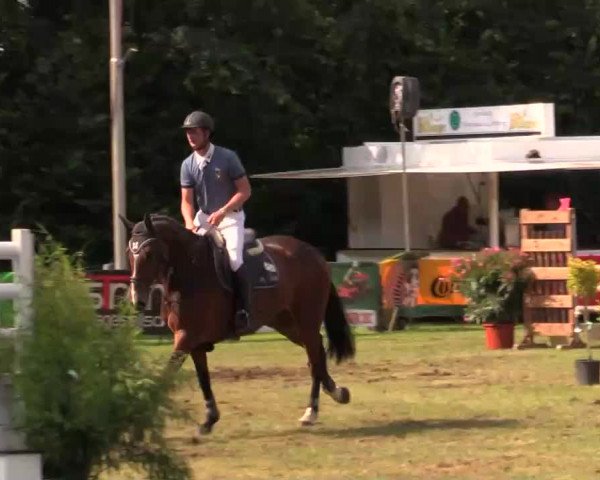 Pfingst - Dressur und Springturnier Borken 2014
