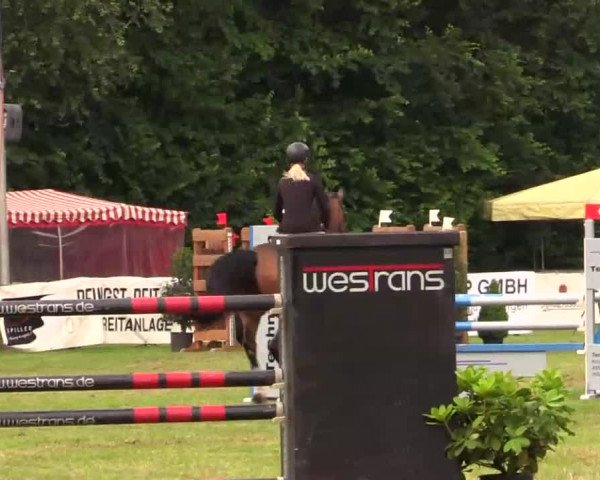 Pfingst - Dressur und Springturnier Borken 2014