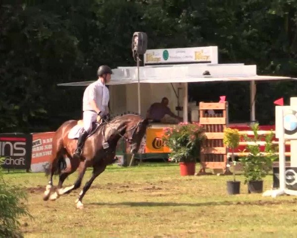 Pfingst - Dressur und Springturnier Borken 2014