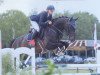 jumper Voodoo Fire (Hanoverian, 2012, from Now Or Never M)