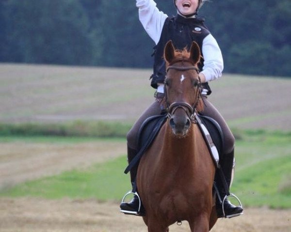 dressage horse Tara 324 (unknown, 2008)