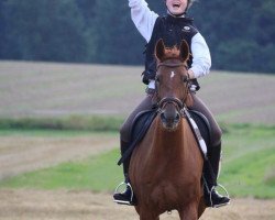 dressage horse Tara 324 (unknown, 2008)