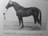 horse Gloeckner (Saxony-Anhaltiner, 1983, from Gutachter)