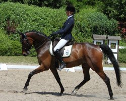 dressage horse Leticia 31 (Hanoverian, 2008, from Tannenhof's London Swing)