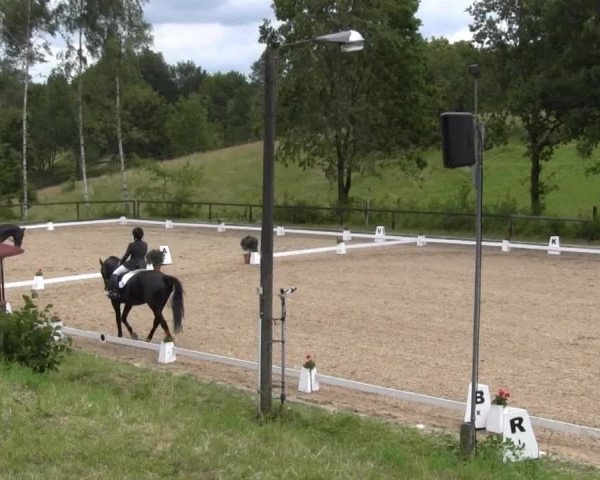 Erkrath - Uhlenhof 2014
