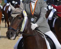 dressage horse Graziano 118 (German Riding Pony, 2004)