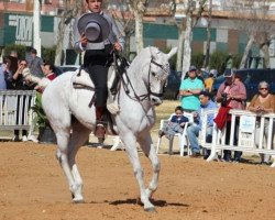 horse Worker (Cruzado, 2009)