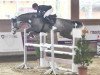 jumper Quick Coulour GE (German Sport Horse, 2015, from Quick Amour GE)