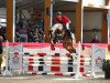 stallion Coupe Gold (Oldenburg show jumper, 2012, from Coupe d`Or)