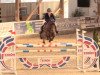 jumper Ulando 19 (Hanoverian, 2013, from Ustinov)