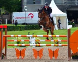 jumper Bernard (KWPN (Royal Dutch Sporthorse), 2006, from Combina)