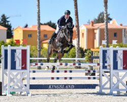 jumper Rich Girl 3 (Oldenburg show jumper, 2013, from N'Oubliez Jamais)