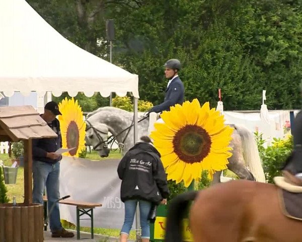 Großer Preis von Isernhagen 2014