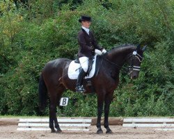 dressage horse Rolling Stone 10 (Bavarian, 1991, from Royal Tom)