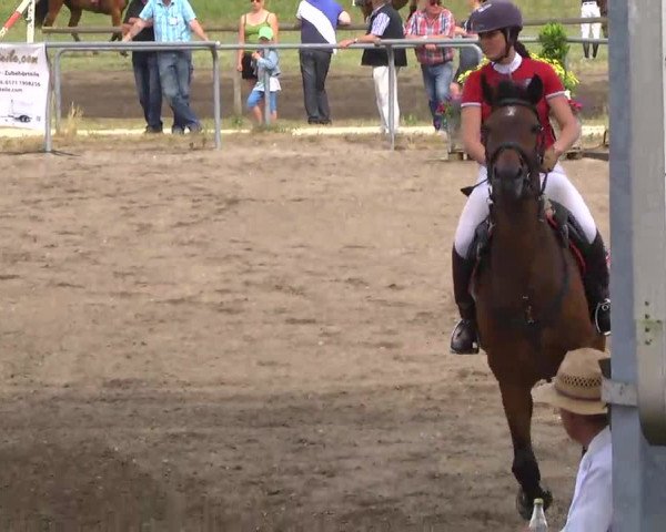 Großes Heidenheimer Reitturnier 2014
