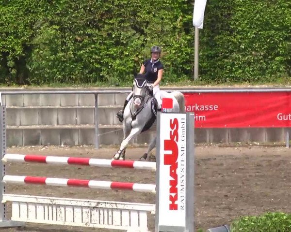 Großes Heidenheimer Reitturnier 2014