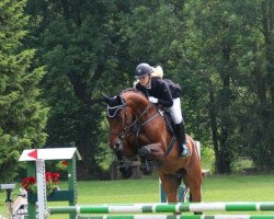 jumper Quaresma (Oldenburg show jumper, 2004, from Quidam's Rubin)