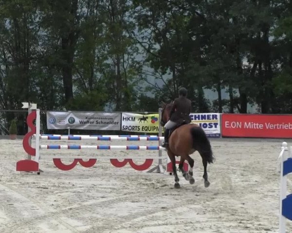 Drei Länder Challenge 2014