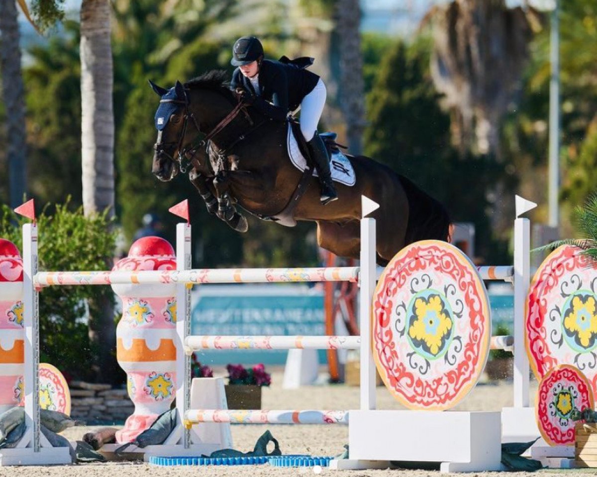 jumper Guardian (Belgian Warmblood, 2012, from Nabab de Rêve)