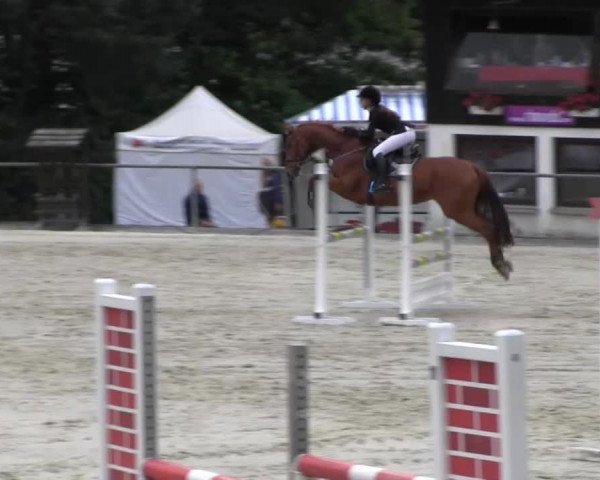 Drei Länder Challenge 2014