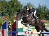 jumper Kanani (Oldenburg show jumper, 2015, from Kannan)