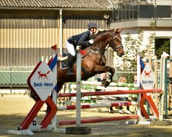 jumper Elmo (Mecklenburg, 2013, from Eldorado de Hus)