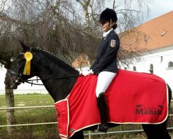 dressage horse Coffee to go 3 (Mecklenburg, 2010, from Count Up)