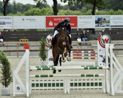 jumper Chances Dream (Swedish Warmblood, 2007, from Decor Dreamcatcher)