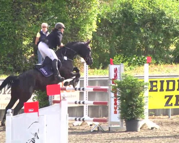 Großes Heidenheimer Reitturnier 2014