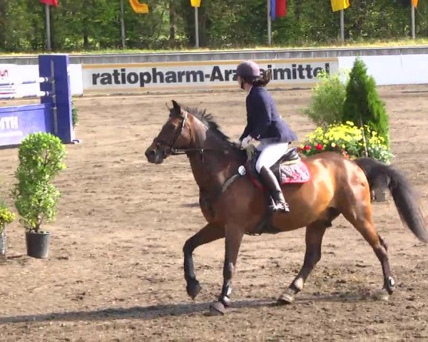 Großes Heidenheimer Reitturnier 2014