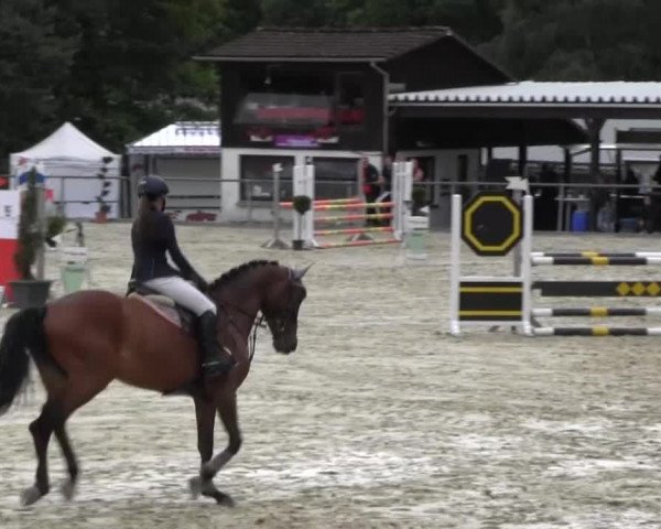 Drei Länder Challenge 2014