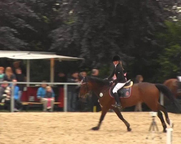Sommerturnier Fröndenberg 2014