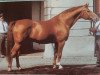 stallion Absatz (Hanoverian, 1960, from Abglanz)