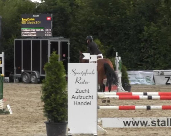 Sommerturnier Fröndenberg 2014