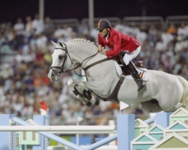stallion Clinton (Holsteiner, 1993, from Corrado I)