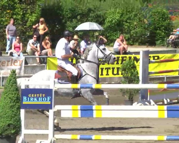 Großes Heidenheimer Reitturnier 2014