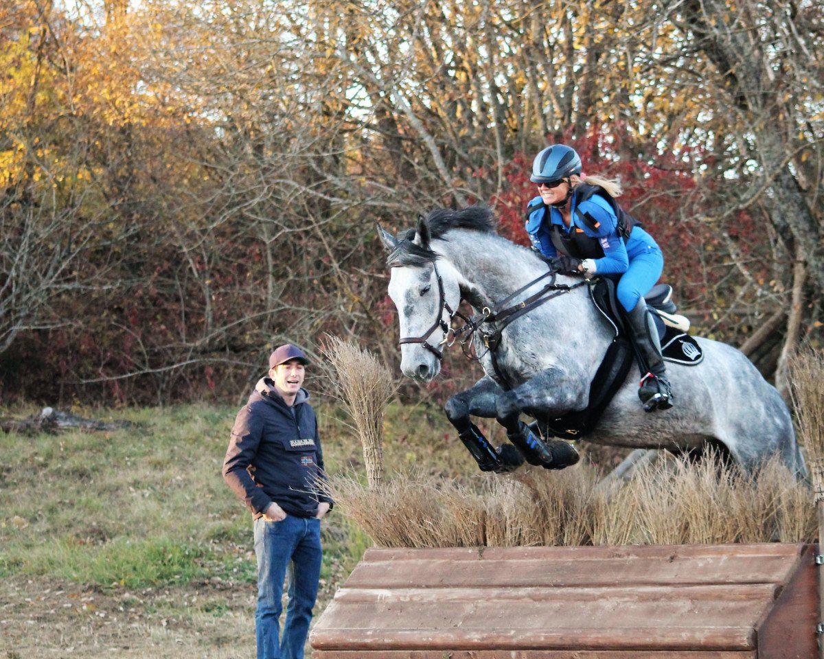 Springpferd Ducat-Cascadeur (Tschechisches Warmblut, 2011, von Scyris xx)